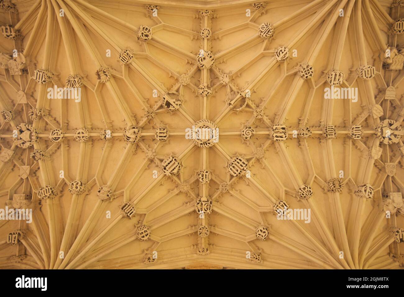 Kunstvoll geschnitzte, gewölbte Decke aus Stein der Divinity School, Bodleian Library, University of Oxford, Oxford, England, VEREINIGTES KÖNIGREICH. Der Bau begann im Jahr 1427 und dauerte bis 1488, zu diesem Zeitpunkt wurde die Divinity School der Universität von OxfordÕs ersten speziell gebauten Hörsaal. Stockfoto