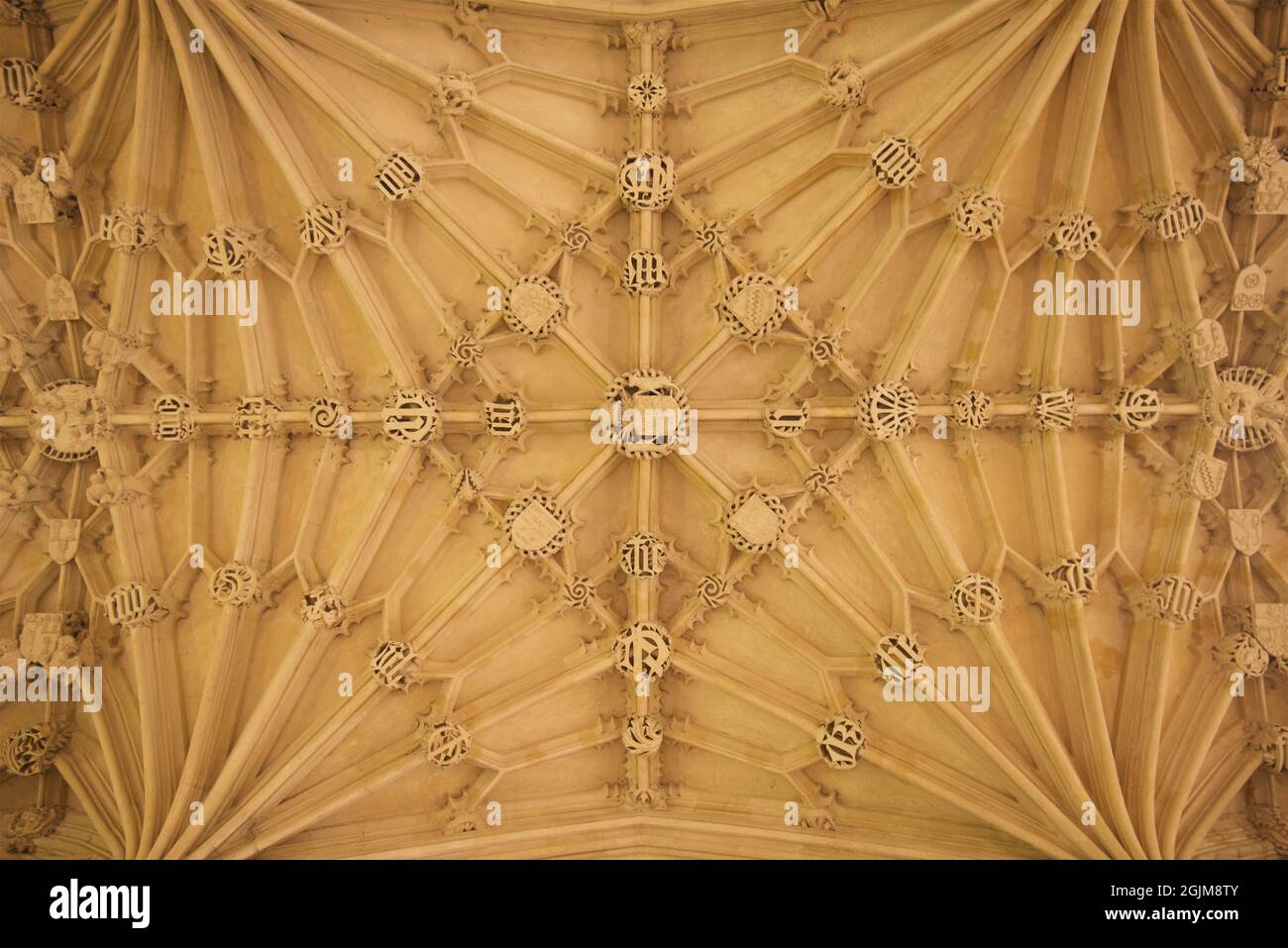 Kunstvoll geschnitzte, gewölbte Decke aus Stein der Divinity School, Bodleian Library, University of Oxford, Oxford, England, VEREINIGTES KÖNIGREICH. Der Bau begann im Jahr 1427 und dauerte bis 1488, zu diesem Zeitpunkt wurde die Divinity School der Universität von OxfordÕs ersten speziell gebauten Hörsaal. Stockfoto