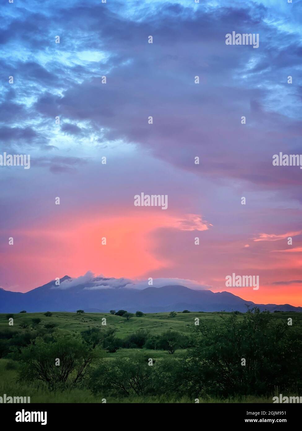 Sonnenuntergang über den Santa Rita Bergen, Arizona Stockfoto