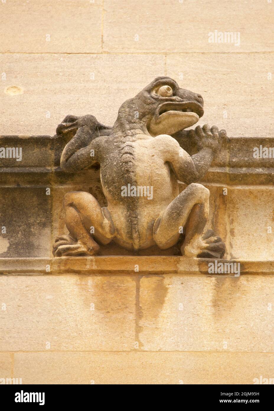 Stein geschnitzte Dekoration. Lizard-Wasserspeier an der Außenseite der Bodleian Library, gegenüber dem Sheldonian Theatre, University of Oxford, Oxford, England, Großbritannien Stockfoto