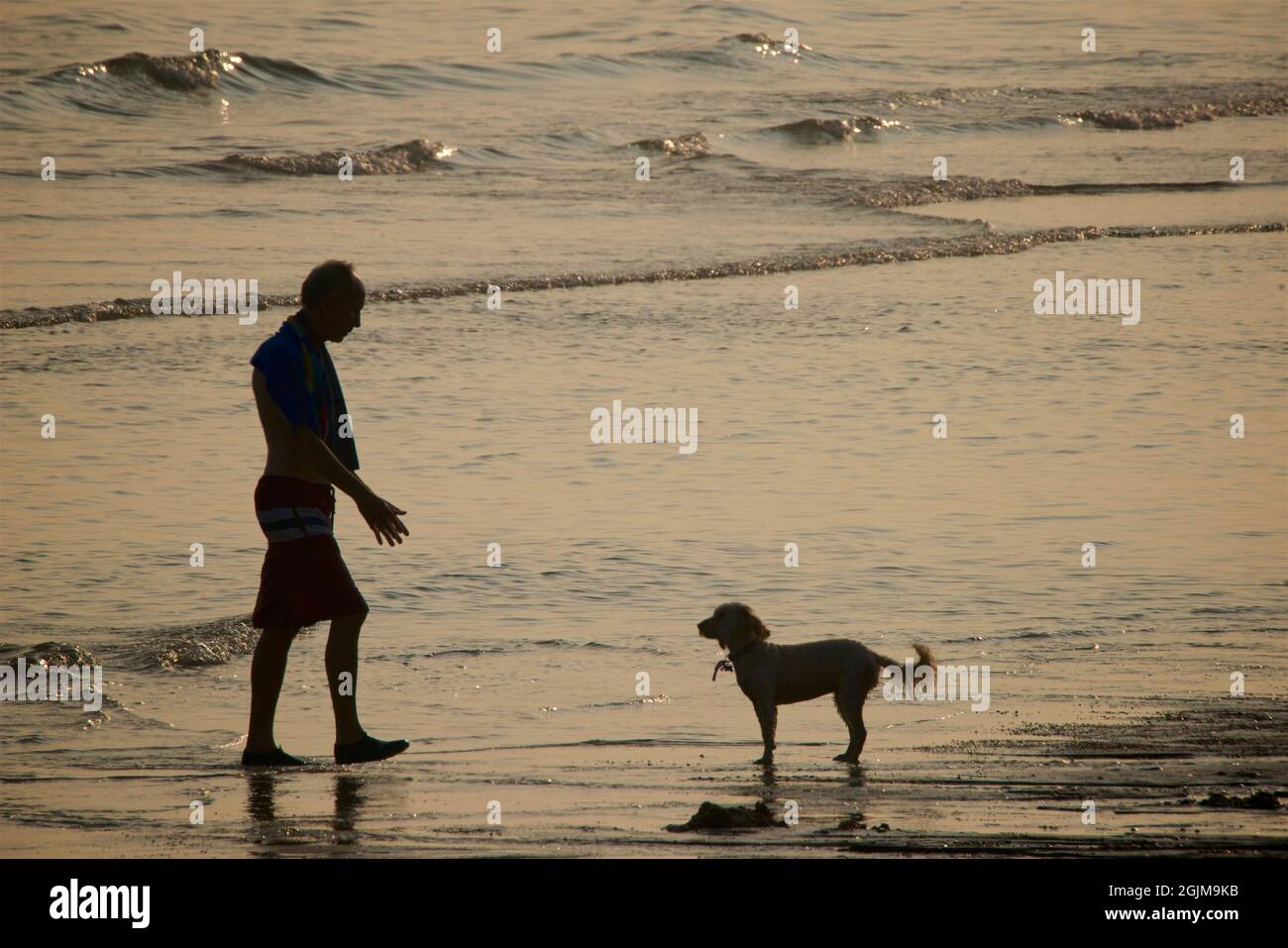 Brighton und Hove Beach bei Ebbe. Silhouetten von Menschen, die bei Sonnenuntergang am Sandstrand entlang wandern. East Sussex, England. Kind läuft vom Meer Stockfoto