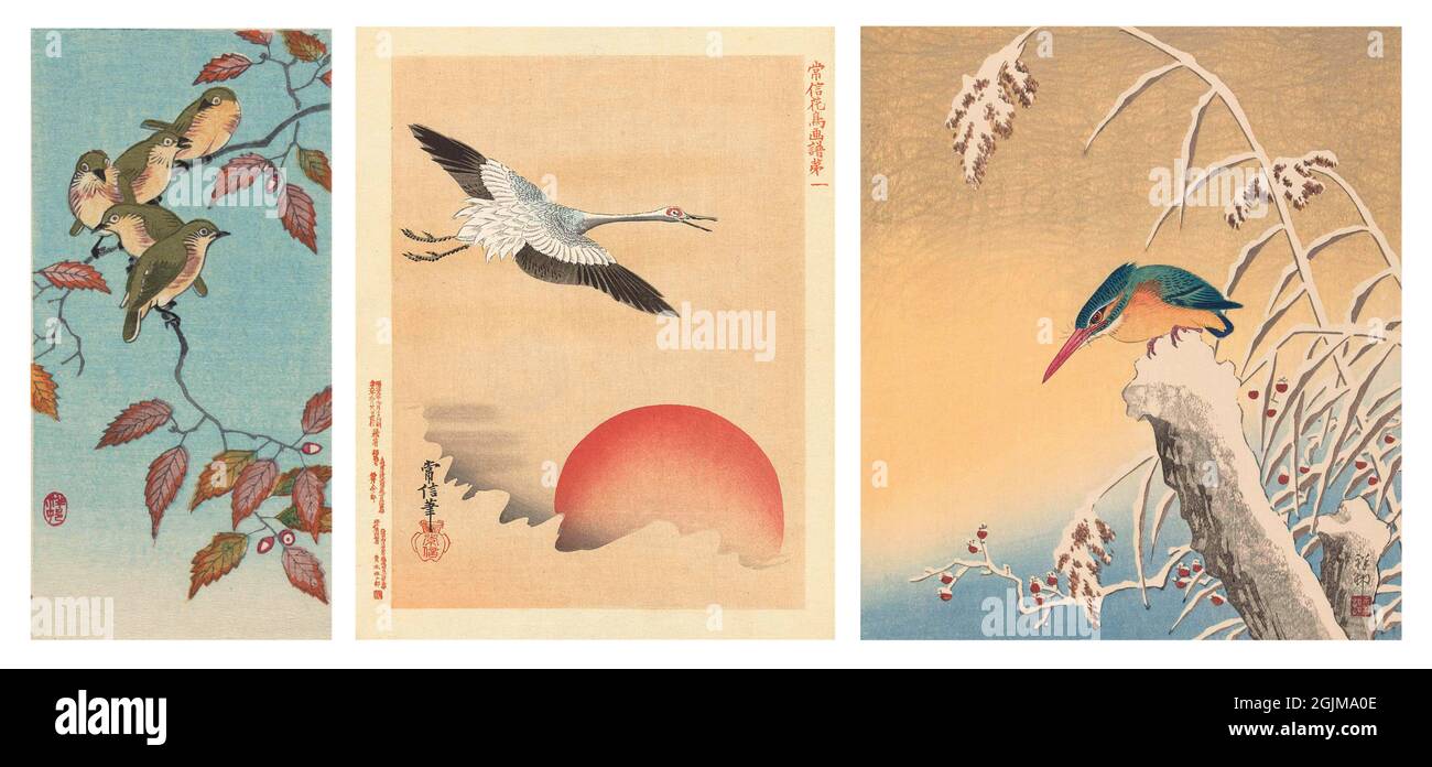 Einzigartige optimierte und verbesserte Anordnung von drei japanischen Holzschnitt-Illustrationen aus dem 19. Und 20. Jahrhundert, die Vögel darstellen. Von links nach rechts: 1.fünf grün-gelbe Vögel am Herbstzweig (1900-36) 2. Kranich fliegt bei rotem Mond. Blumen- und Vogelskizzen von Kano Tsunenobu (1893-1909) 3. Eisvögel auf verschneiten Baumstumpf; schneebedecktes Schilf und Zweige mit roten Beeren im Hintergrund. Stockfoto