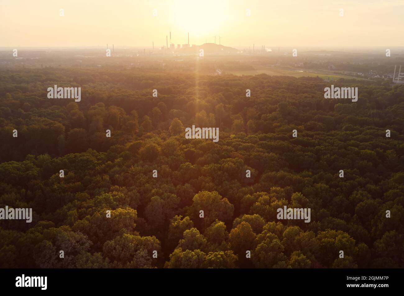 Drohnenblick über Wald und Bäume und ein Industriegebiet während des Sonnenuntergangs im ruhrgebiet in Deutschland Stockfoto