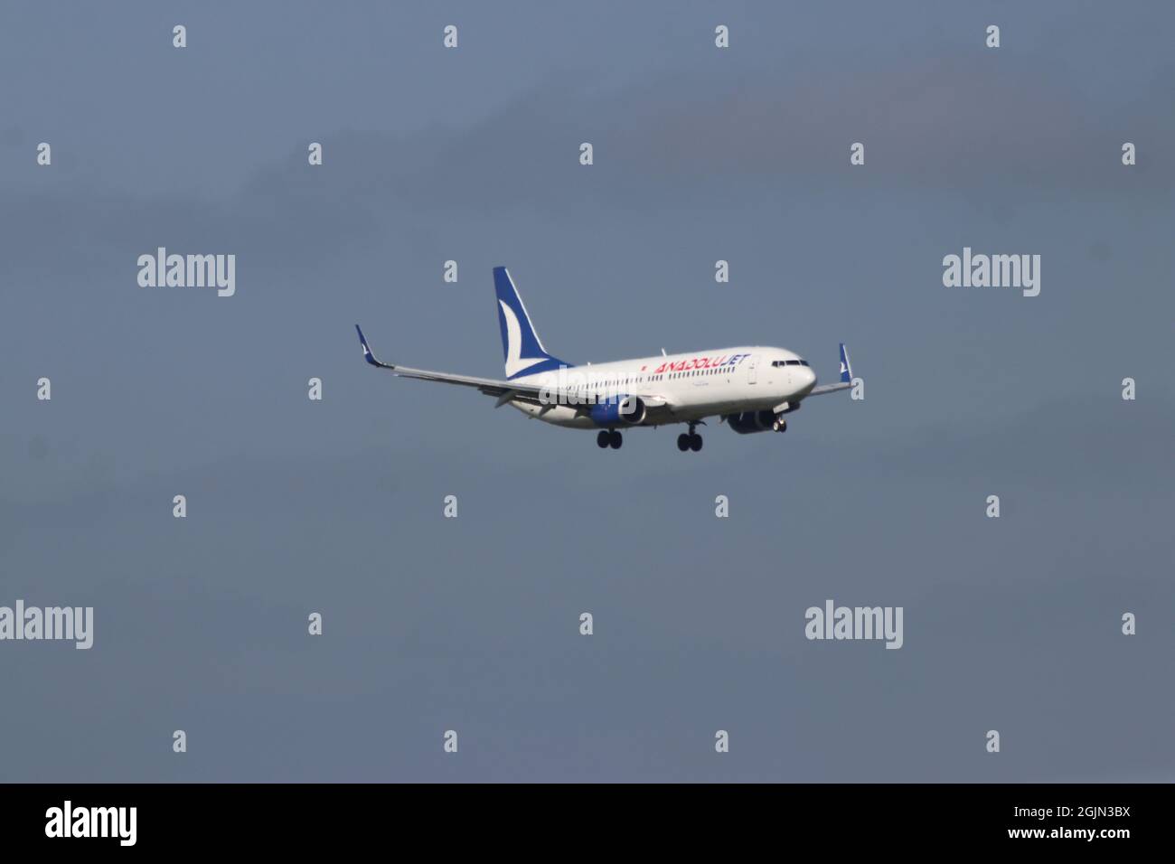 TC-JFC Anadolu Jet Boeing 737 wird auf der Kaagbaan 06-24 am Flughafen Amsterdam Schiphol in den Niederlanden landen Stockfoto