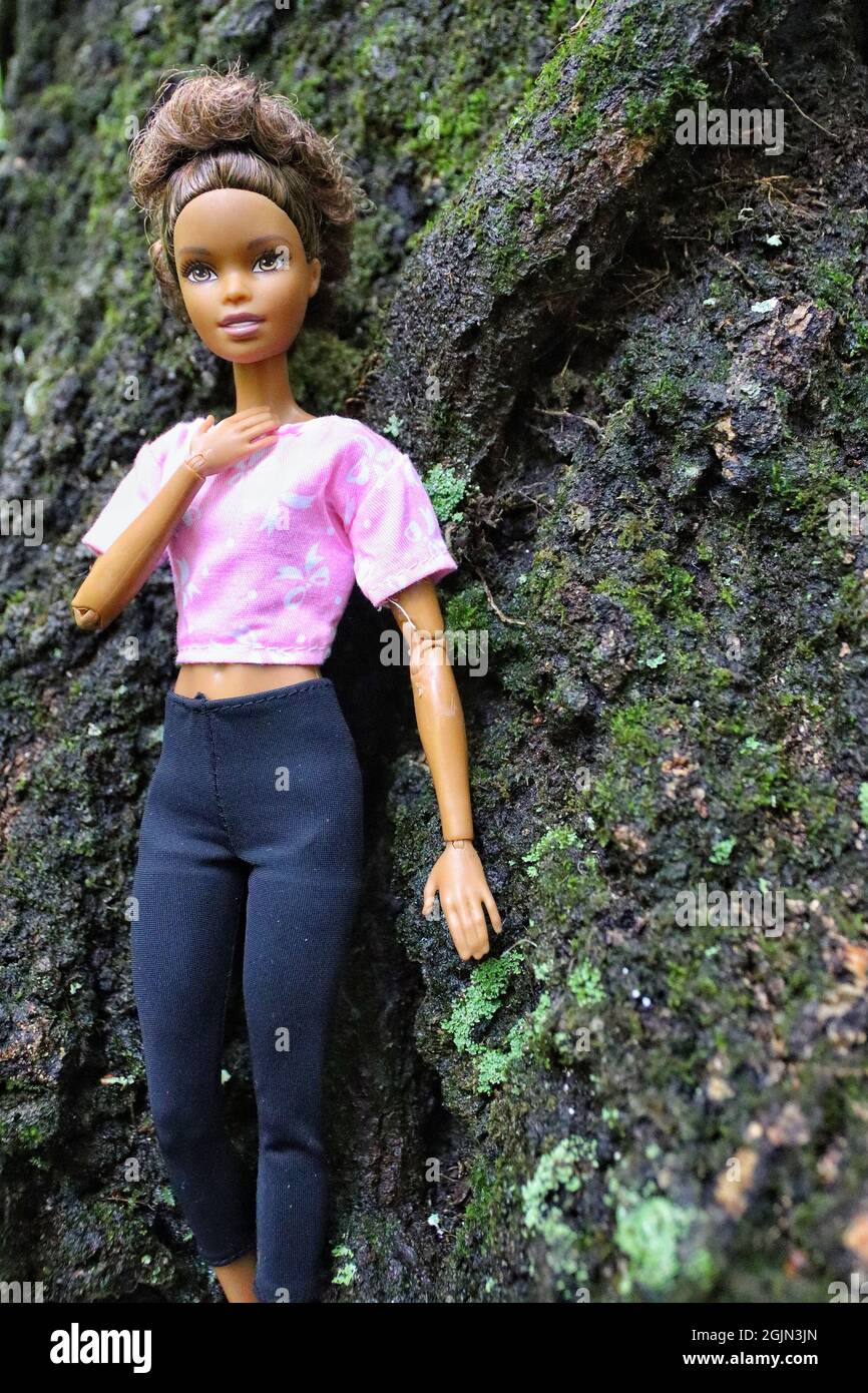 GREENVILLE, VEREINIGTE STAATEN - 16. Aug 2021: Eine Nahaufnahme einer  brünetten, dunkelhäutigen Barbie-Puppe, die auf einem Felsen lehnt  Stockfotografie - Alamy