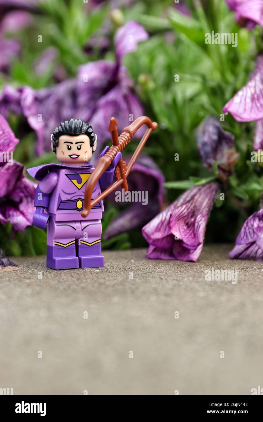 GREENVILLE, USA - 16. Aug 2021: Eine Nahaufnahme einer Lego-Minifigur des Wonder Twin Zan auf einem Felsen Stockfoto