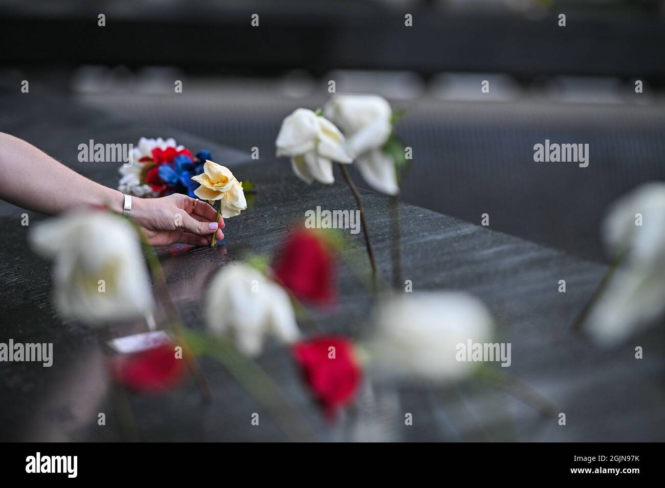 New York, USA. September 2021. Eine Person legt eine Blume an die Gedenkstätte von 9/11 während einer Zeremonie in Ground Zero, die zum Gedenken an den 20. Jahrestag der Terroranschläge auf das World Trade Center, das Penton und den Absturz von Flug 93 der United Airlines in Shanksville, PA, in Lower Manhattan, abgehalten wird, New York City, NY, USA am 11. September 2021. (Foto von Anthony Behar/Sipa USA) Quelle: SIPA USA/Alamy Live News Stockfoto