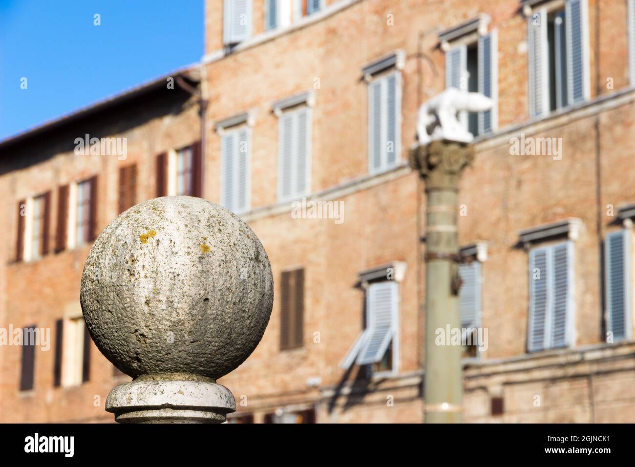 Siena, Toskana, Italien: Der Sienese She-Wolf liegt an einem sonnigen Tag in der Via Pantaneto Stockfoto