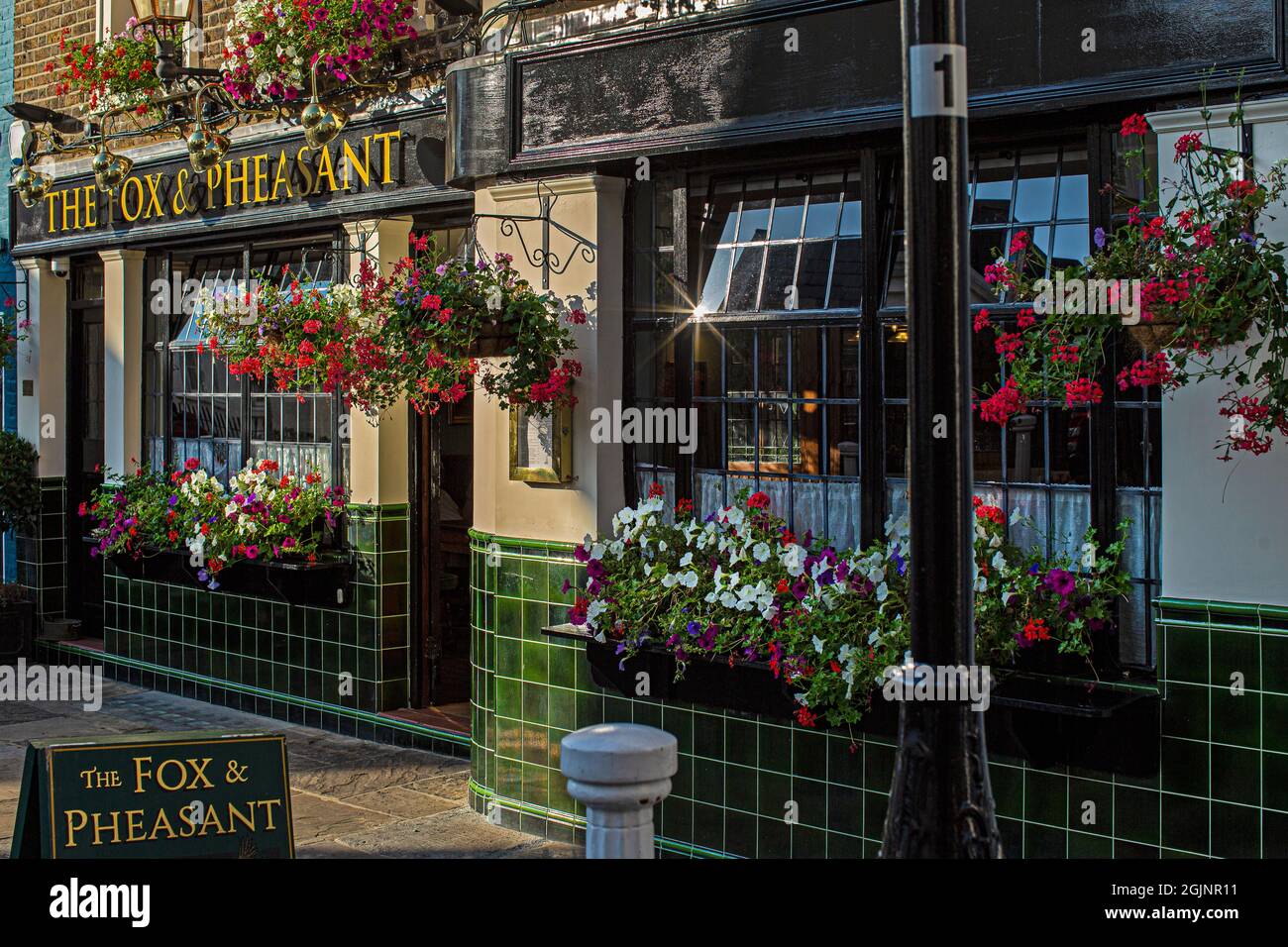 Außenansicht des traditionellen englischen Pubs The Fox and Pheasant in Chelsea, London, Großbritannien Stockfoto