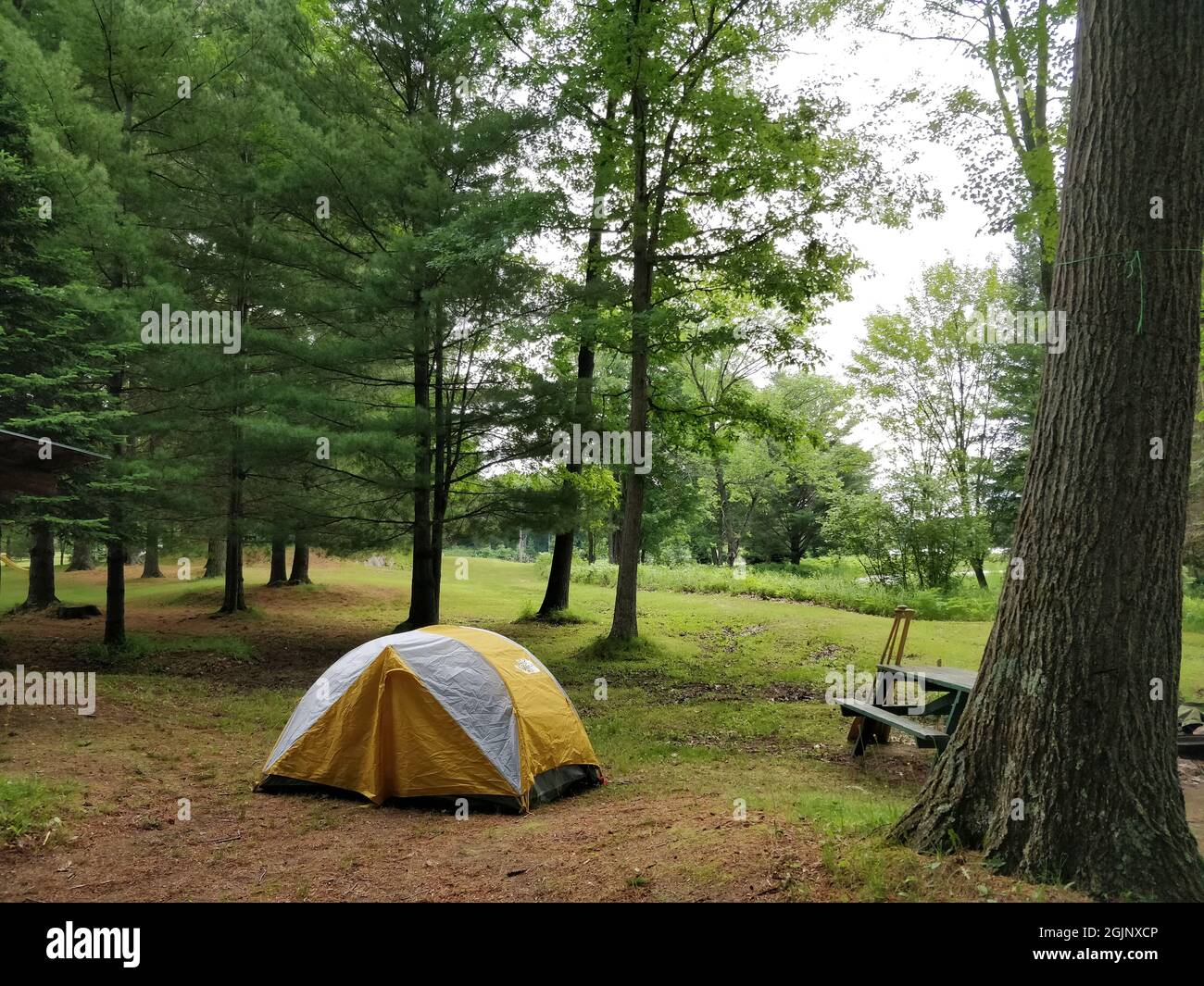 Kofferraum voll von Camping- und outdoor-Picknick-Sachen Stockfotografie -  Alamy