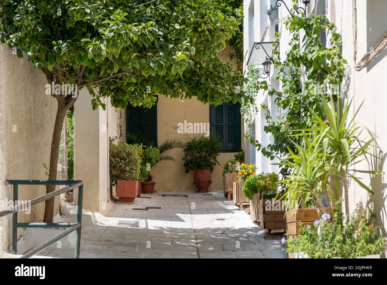 Traditionelle griechische Architektur des alten Hauses mit geschlossenen Fenstern leeren gepflasterten Hof voller Keramik-Kunststoff-Töpfe mit frischen grünen blühenden Pflanzen Blumen Stockfoto