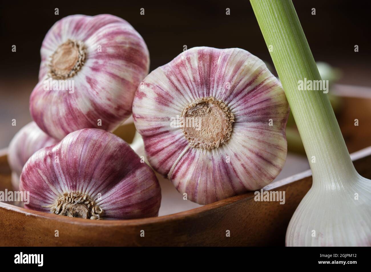 Mehrere Knoblauchköpfe in einer Holzschale. Stockfoto