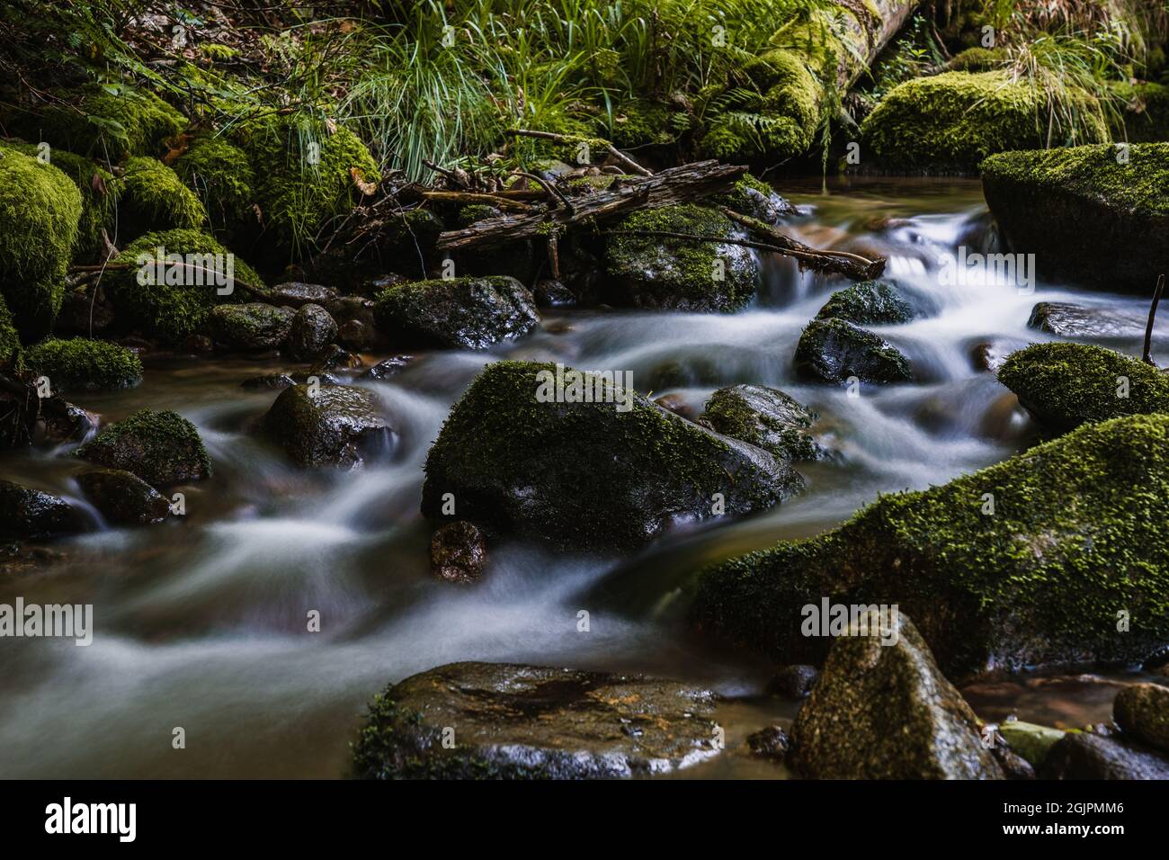 allerheiligen Wasserfälle des Schwarzwaldes, Baden-Württemberg, Deutschland Stockfoto