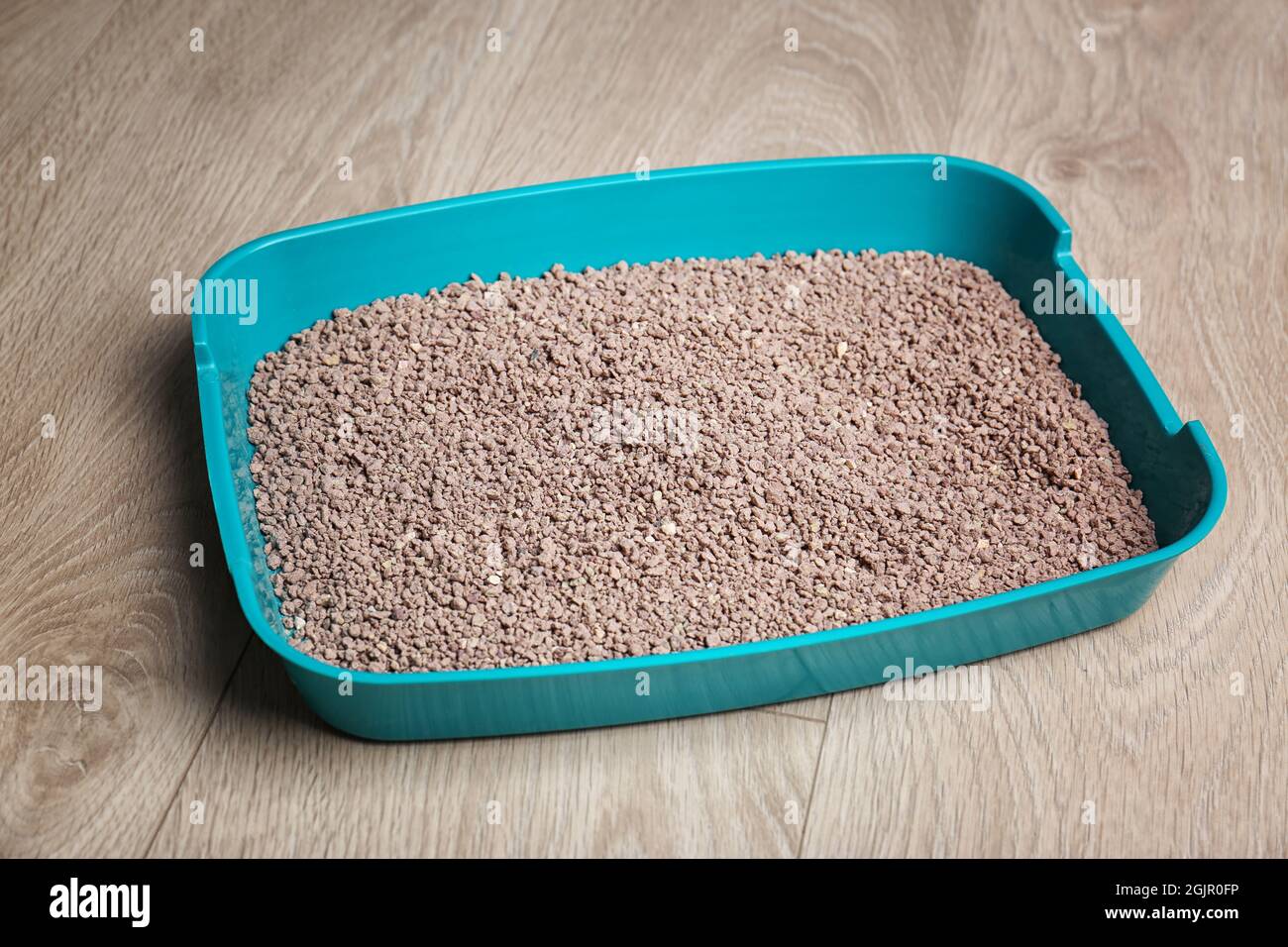 Kunststoff Katzenklo mit Füller auf dem Boden Stockfotografie - Alamy