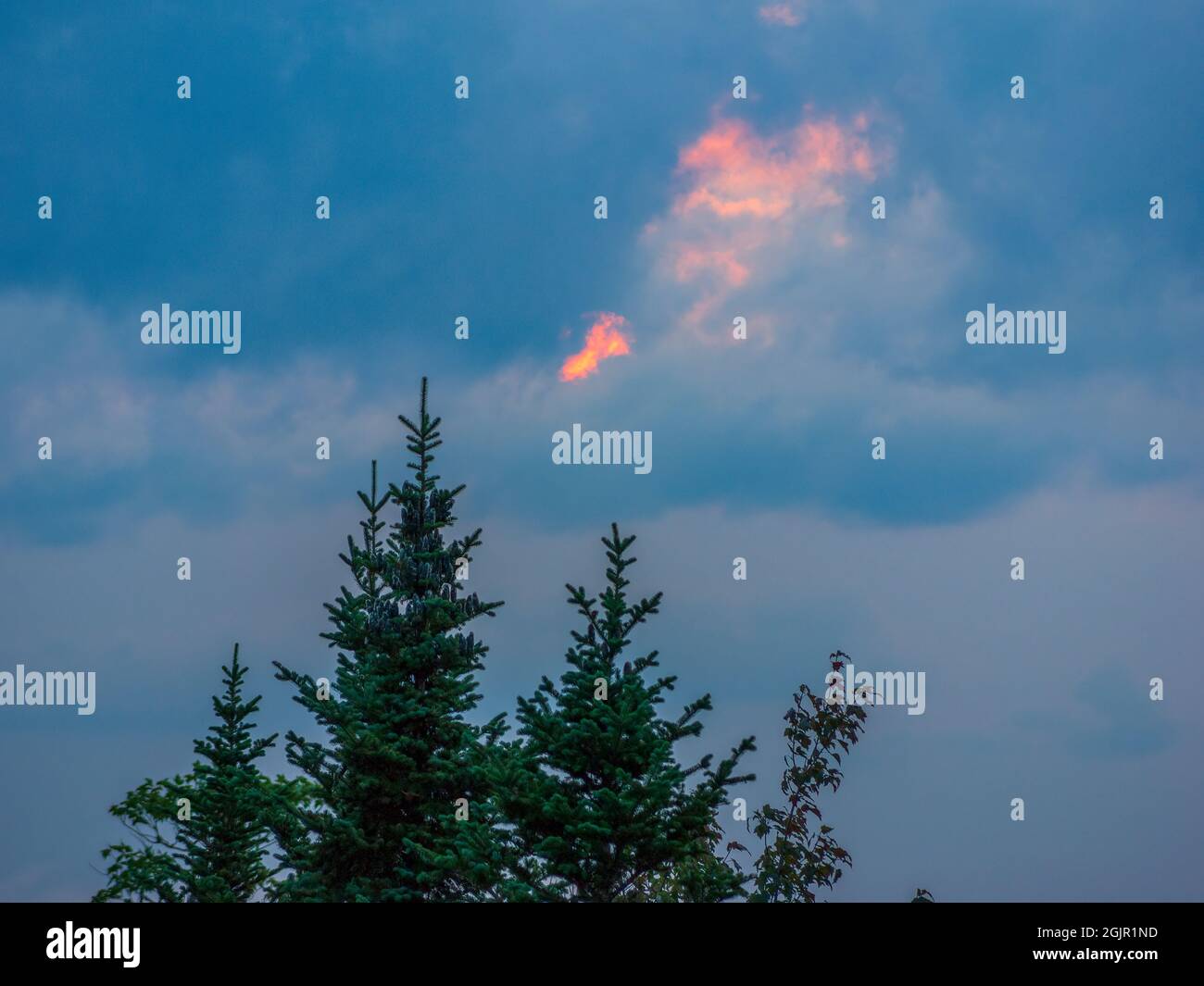 Eine feurige Sonnenscheibe, die durch die Wolken des Stratocumulus castellanus über den Baumkronen der Balsamtanne (Abies balsamea) ragt. Rangeley Lake, Rangeley, Maine, USA Stockfoto