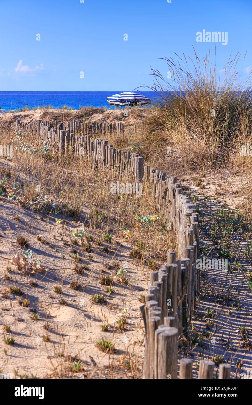 Einsamer Sonnenschirm hinter den Dünen: Der Strand Punta Prosciutto in Apulien (Italien) erstreckt sich im Naturpark „Palude del Conte e Duna Costiera“. Stockfoto