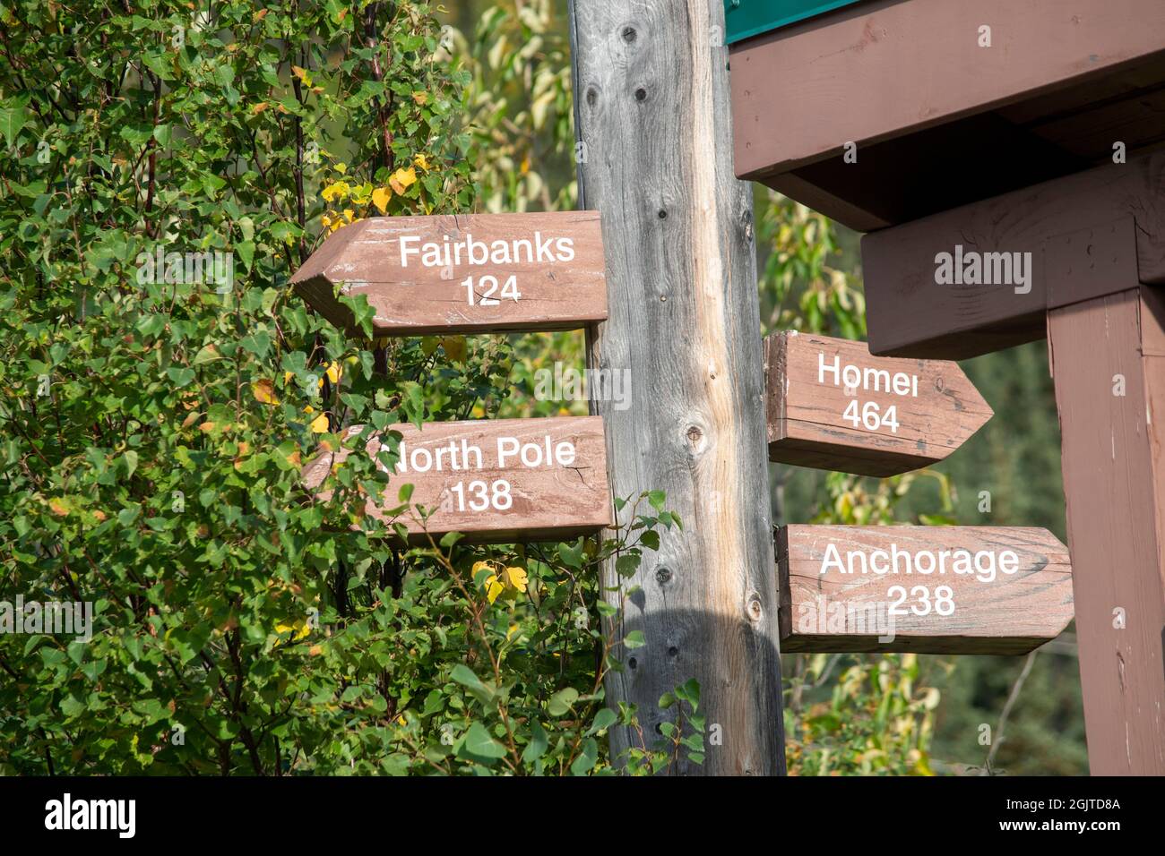 Der Herbst im Denali National Park ist eine wunderschöne Jahreszeit, in der die Bäume in herrlichen Grün-, Gelb- und Orangetönen verfärben. Stockfoto