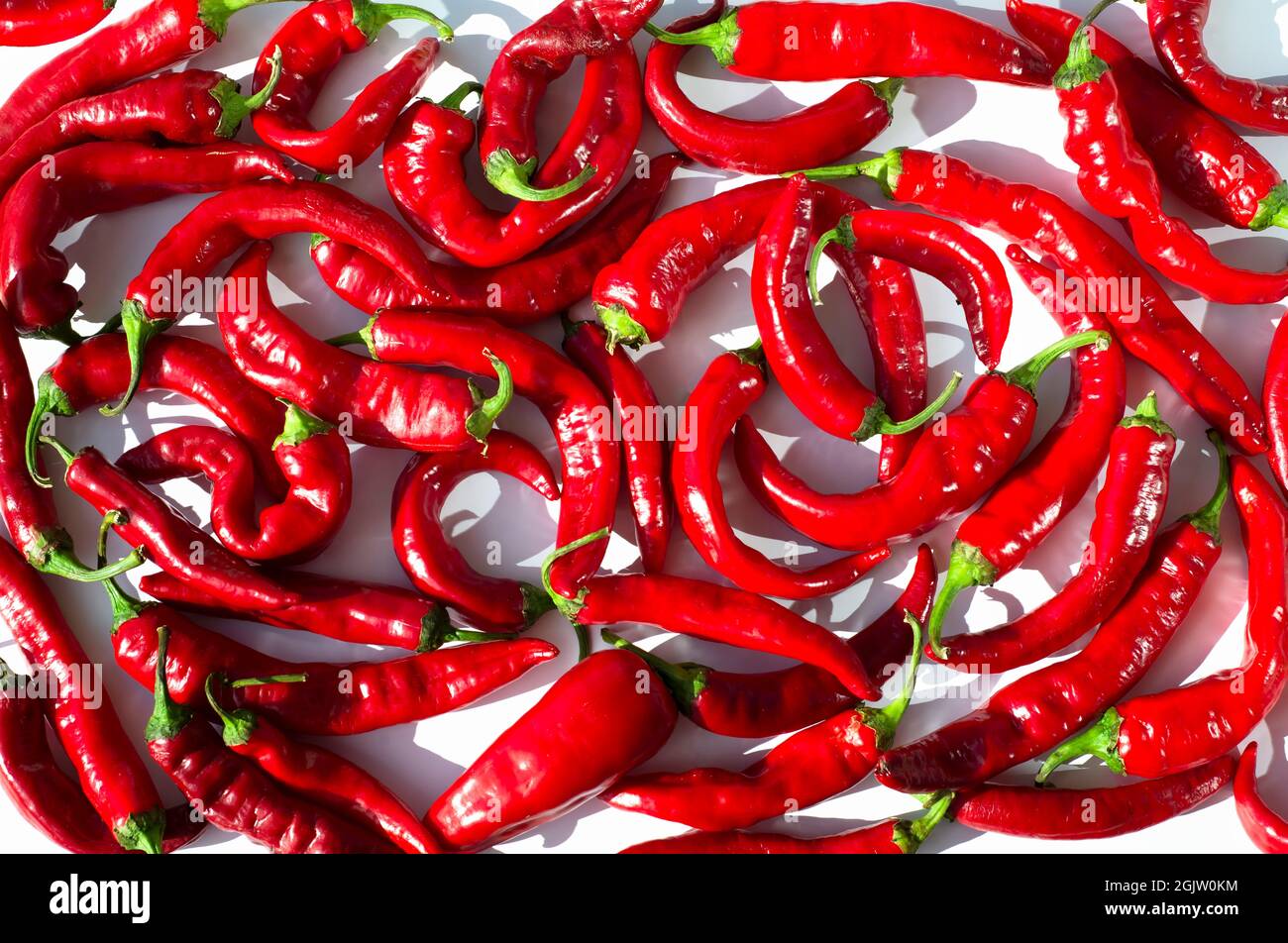 Rote Chilischoten. Cayennepfeffer. Rote Hintergründe aus Gemüse und Gewürzen. Stockfoto