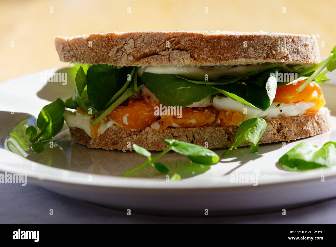 Ein Sandwich mit Eiermayonnaise und Wasserkresse mit gemahlenem schwarzem Pfeffer und selbstgebackenem Brot. Stockfoto