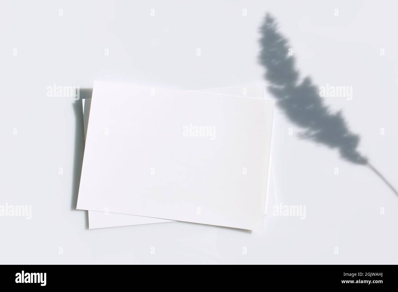 Mockup Poster oder Flyer zur Präsentation von weißen Papierblättern mit Ohrschattenhintergrund auf grauem Hintergrund in einem eleganten, modernen, minimalistischen Stil. Herzlichen Glückwunsch Stockfoto