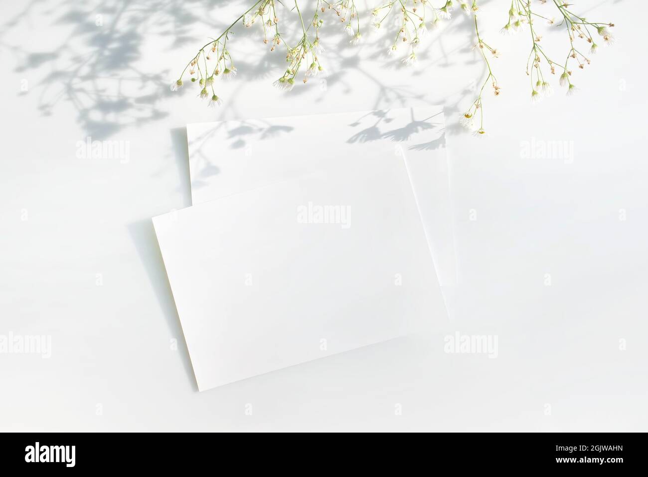 Mockup Poster oder Flyer zur Präsentation von weißen Papierblättern mit einem Zweig aus weißen Blumen und Schatten auf einem grauen Hintergrund in einem eleganten, modernen Stil Stockfoto