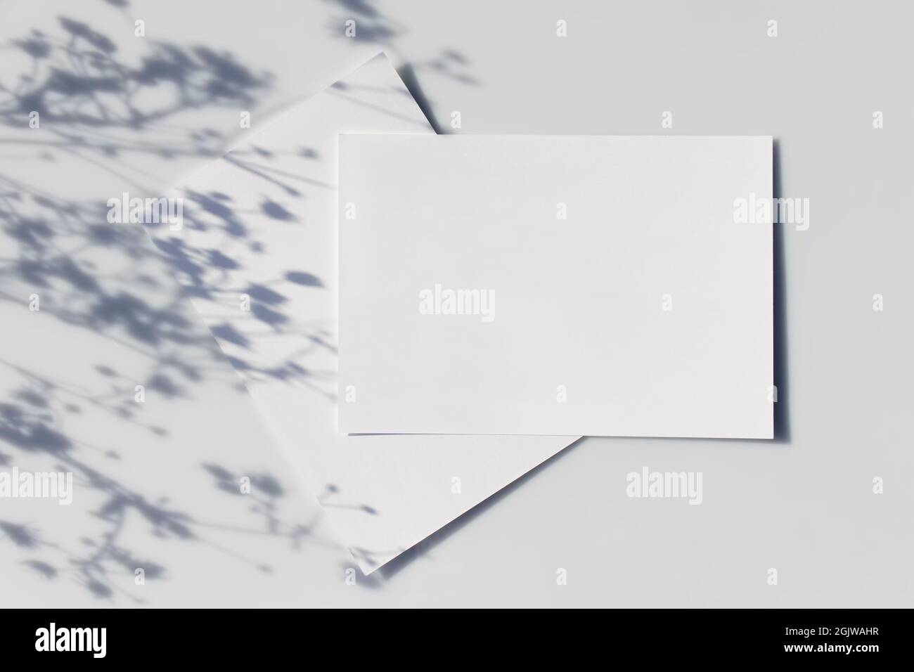Mockup Poster oder Flyer zur Präsentation weißer Blätter mit Schatten einer Pflanze auf grauem Hintergrund in einem modernen minimalistischen Stil. Herzlichen Glückwunsch Stockfoto