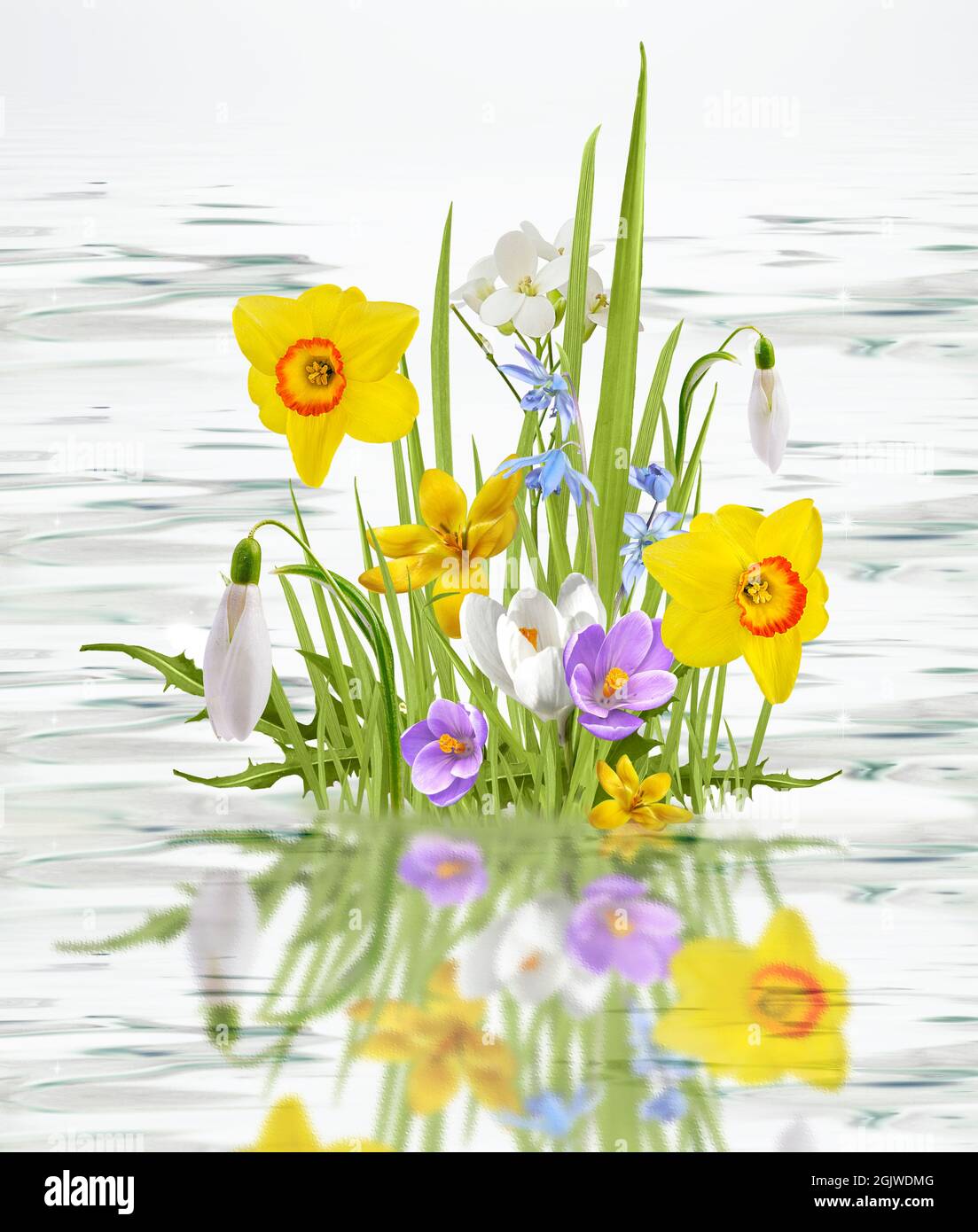 Schöne wilde Blumen Kamille, Schmetterling am Morgen Dunst in der Natur reizvolle luftige künstlerische Bild. Stockfoto