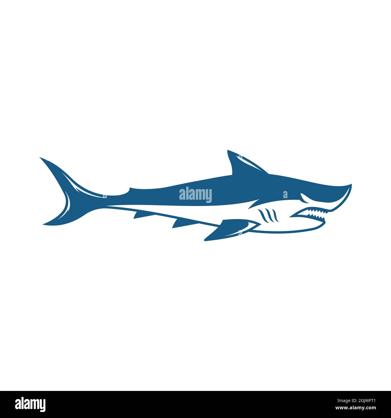 Shark Illustration Icon Design Vorlage Vektor Stockfoto