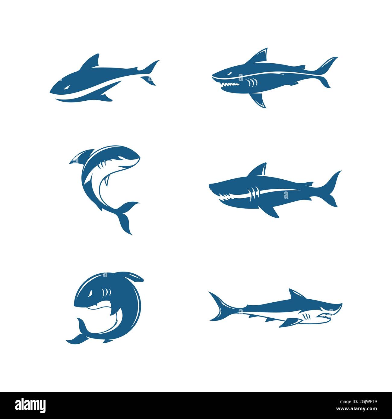 Shark Illustration Icon Design Vorlage Vektor Stockfoto
