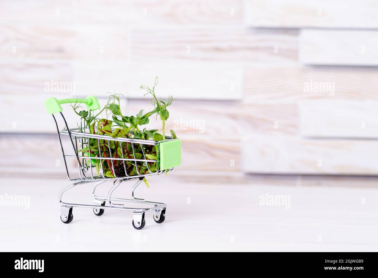 Frisches Öko-Gemüse Lieferkonzept, junge Mikrogrüns im Warenkorb auf Holzhintergrund. Stockfoto