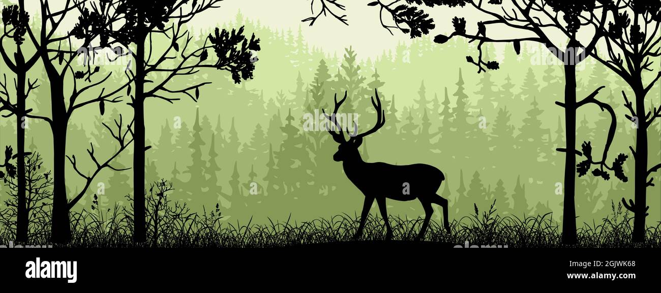 Horizontales Banner. Silhouette eines Hirsches, der auf der Wiese im Wald steht. Silhouette von Tier, Bäumen, Gras. Magische neblige Landschaft, Nebel. Grün, schwarz il Stock Vektor