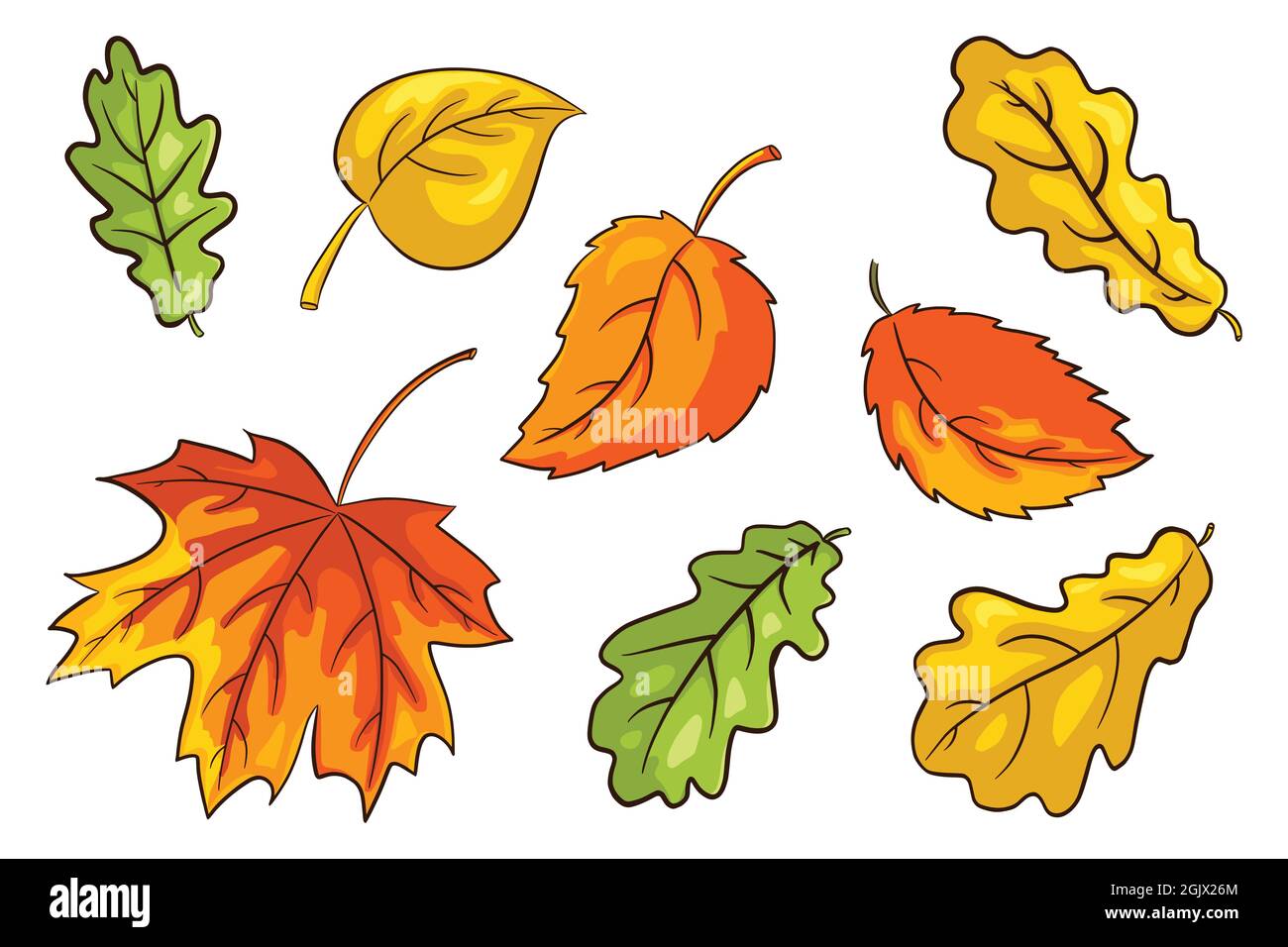 Handgezeichnete Herbstblätter Set. Sammlung von Waldlaub. Eiche, Ahorn und Haselnussblatt. Herbst Deko Elemente für Prints, Sticker, Einladung und Grußkarten Design und Dekoration. Premium Vector Stock Vektor