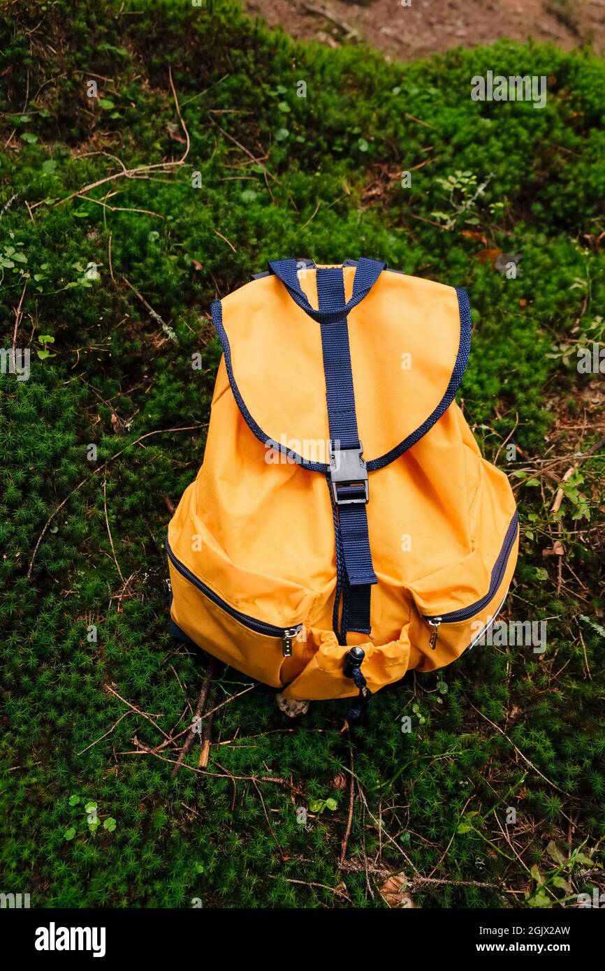 Oranger Touristenrucksack im Wald auf grünem Moos. Time-to-Travel-Konzept Stockfoto