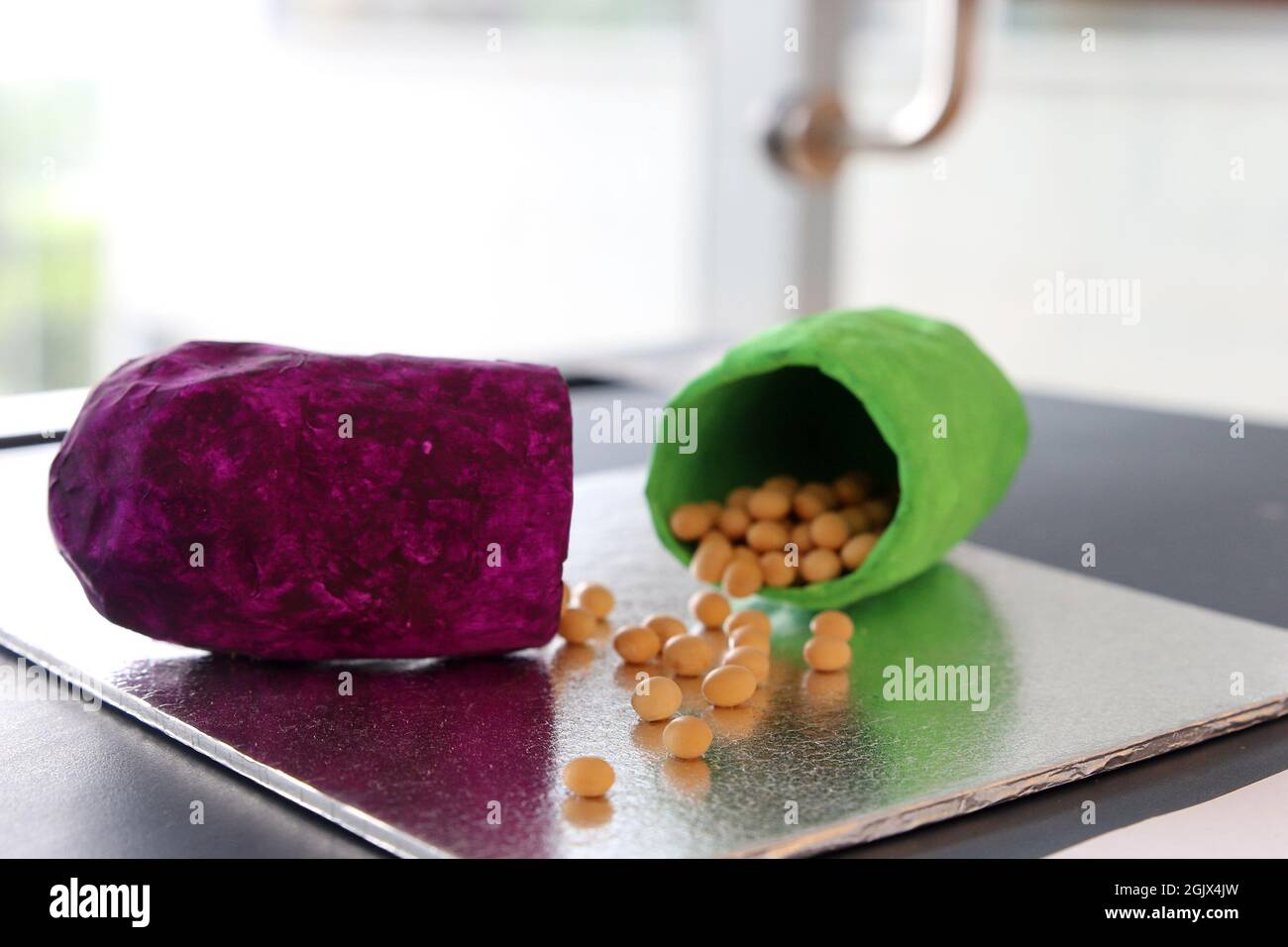 Kunstdisplays für Medikamentenpillen Stockfoto