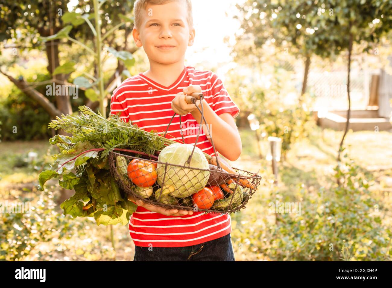 Der kleine Junge hält in seinen Händen einen Korb mit frischem Gemüse. Er steht auf dem Hintergrund des Gartens Stockfoto