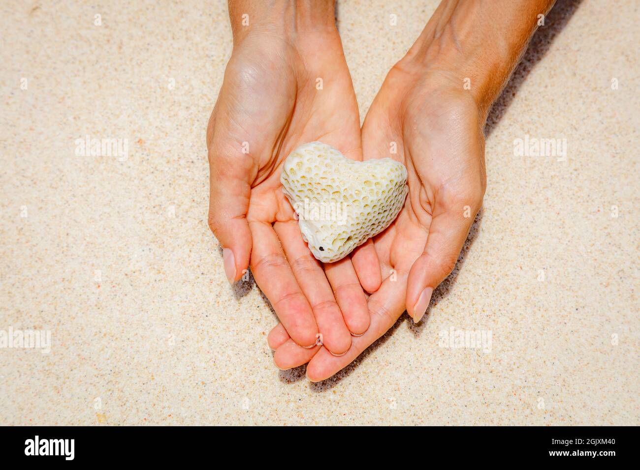 Herz geformte Korallen in der Frau Hände, Sand für den Hintergrund. Die Insel Boracay, Philippinen. Konzept der Marine Conservation und den Ozean. Mit dem Raum. Stockfoto