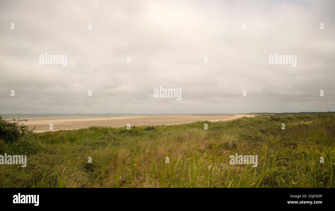 Meer, Sandstrand und Dünen bedeckt mit Marram Gras (Ammophila arenaria) Stockfoto