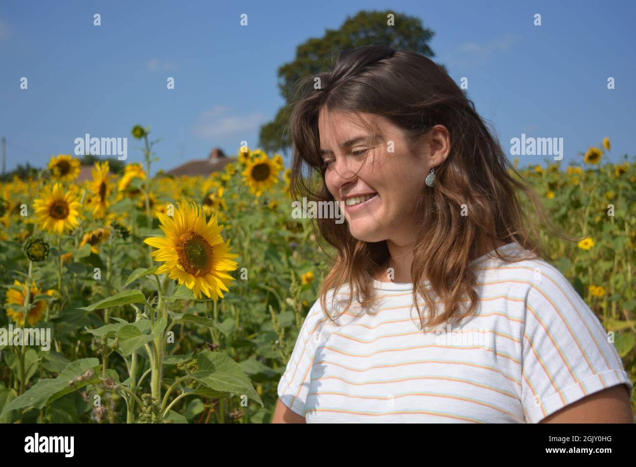 Glückliche, sorglose junge Frau im Spätsommer auf einem Sonnenblumenfeld Stockfoto