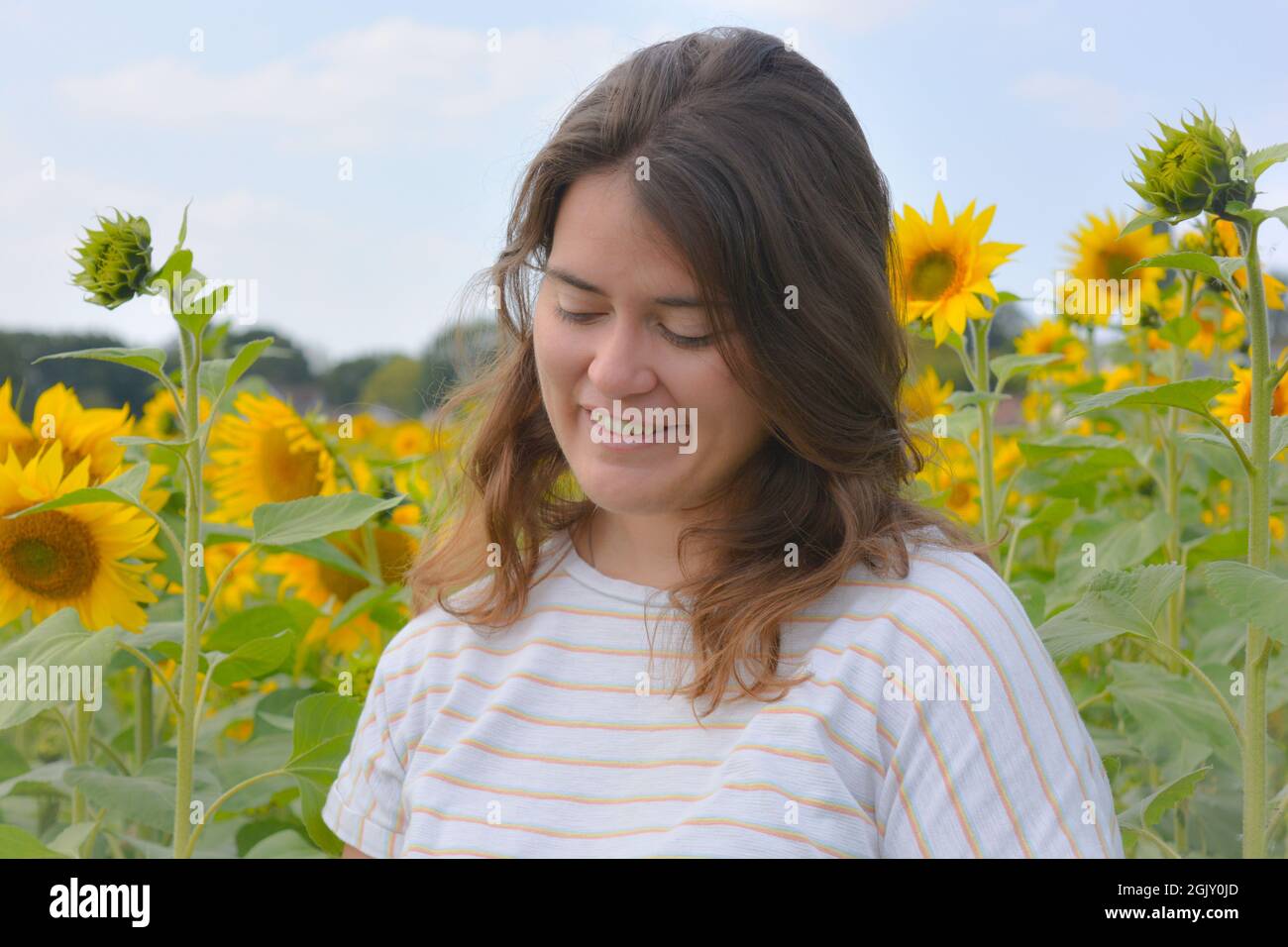 Ehrliches Porträt einer schönen jungen Frau, die im Freien in einem Sonnenblumenfeld nach unten schaut, Stockfoto