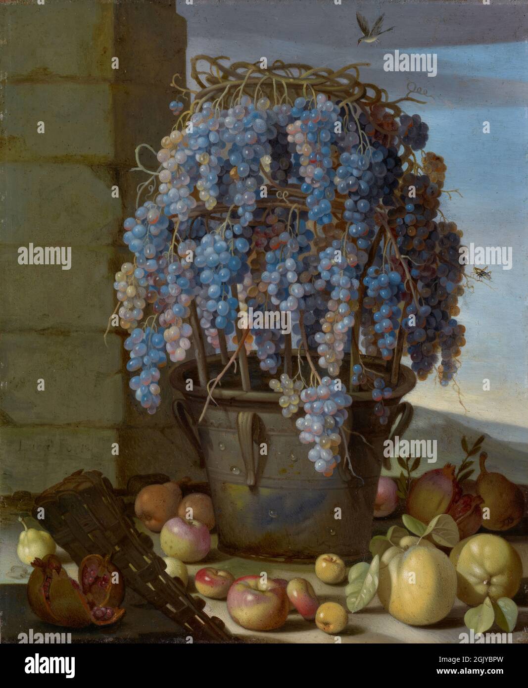 Luca Forte - ca. 1610-1670. Stillleben mit Trauben und anderen Früchten,1630; Öl auf Kupfer Stockfoto