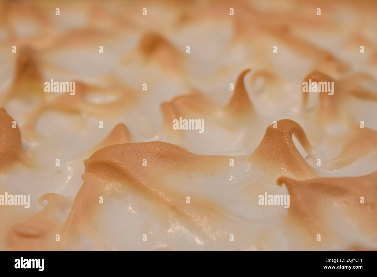 Lemon Meringue Pie Stockfoto