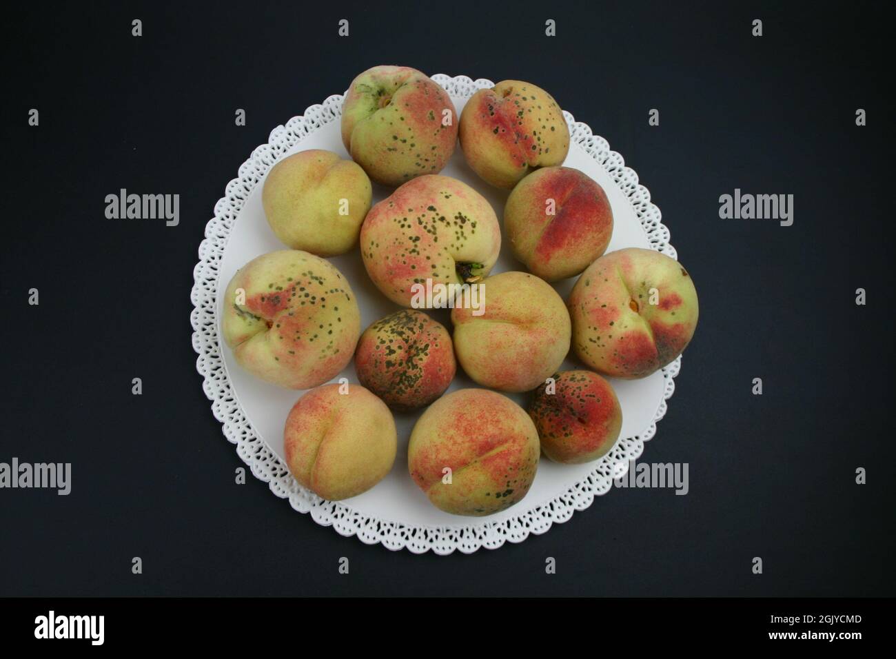 Nahaufnahmen weißer Teller mit Bio Obst Pfirsich Stockfoto