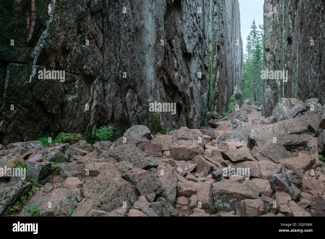 Slattdalskrevan Canyon im Skuleskogen Nationalpark, Schweden. Schmale Spalte in festem Fels an einem bewölkten Sommertag. Wandern auf dem High Coast Trail Stockfoto