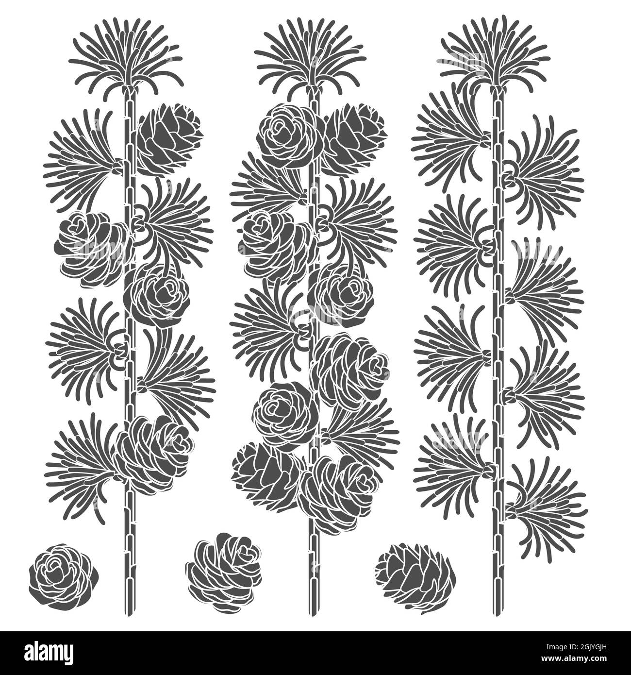Set von Schwarz-Weiß-Bildern von Lärchenzweigen und Kegeln. Isolierte Vektorobjekte auf weißem Hintergrund. Stock Vektor