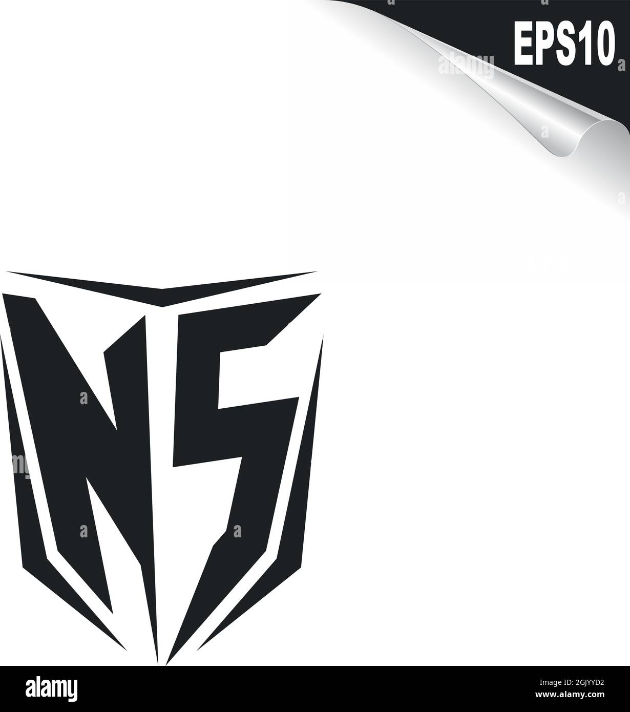 Anfängliches NS-Logo im Shield-Stil, Logo-Branding für Unternehmen. Stock Vektor