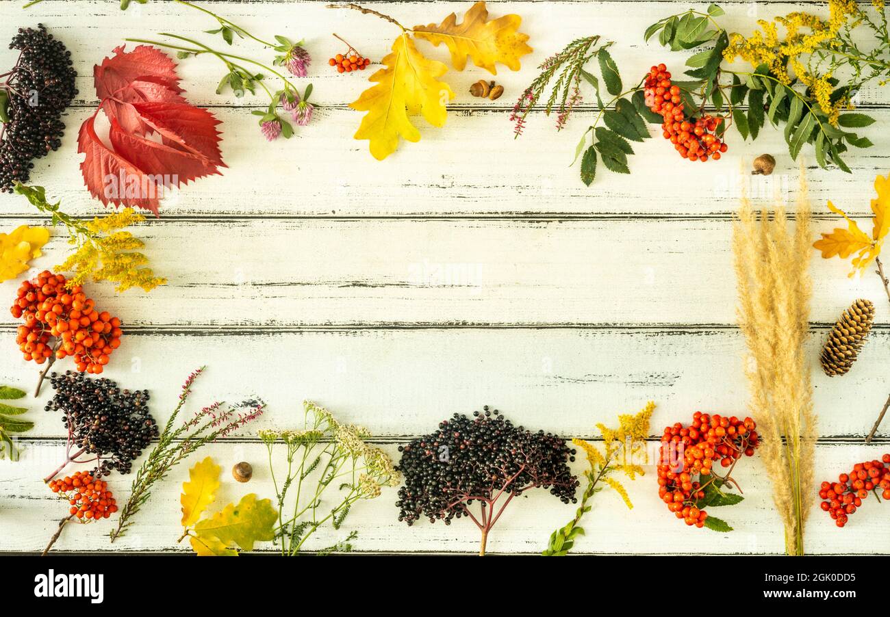 Herbstfarben, Flat Lay, echte Blätter, Samen und Früchte im Zusammenhang mit dem Herbst, Weiße Tafeln mit Platz für eine Inschrift, Horizontales Foto Stockfoto