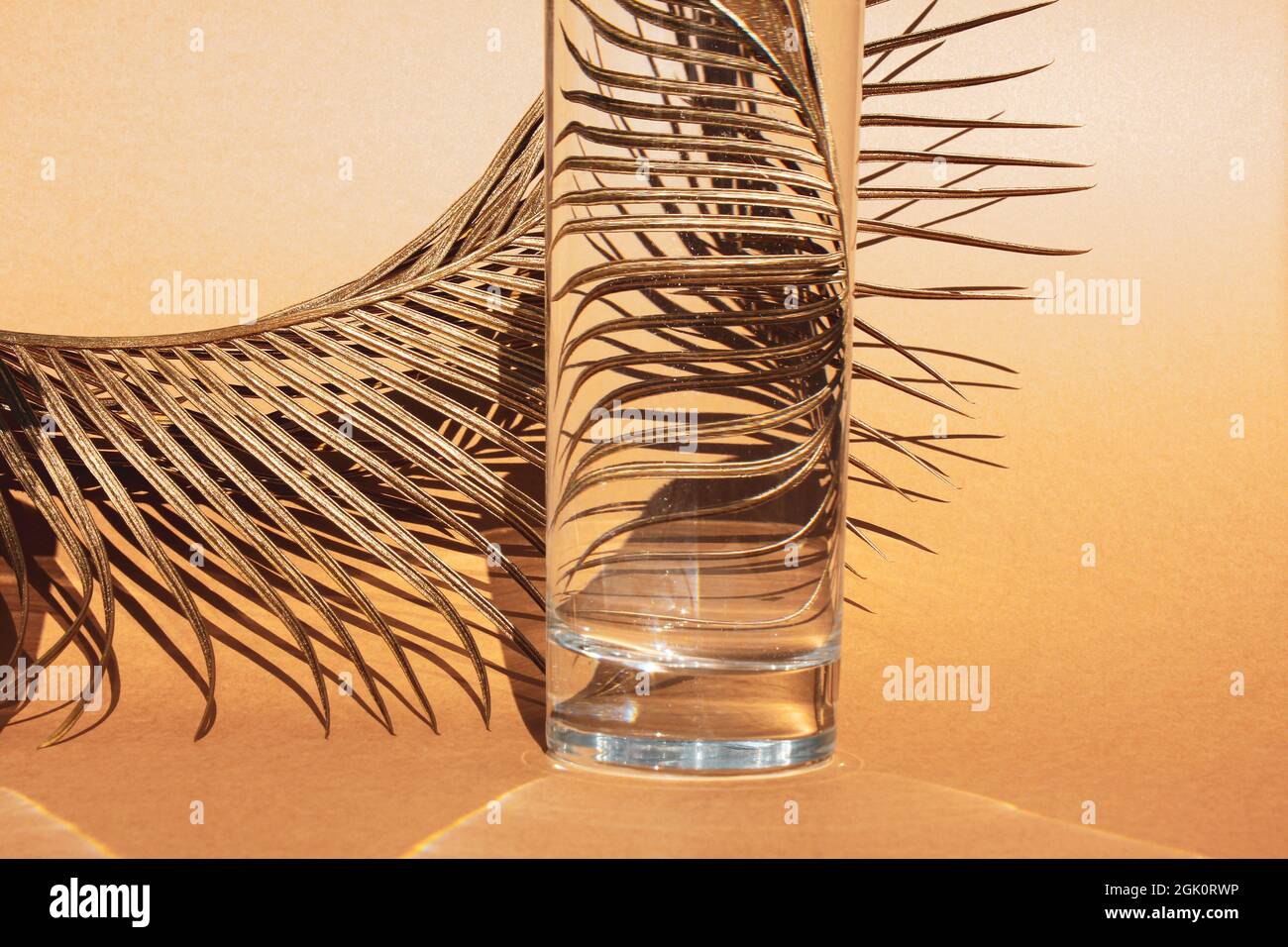 Goldenes Palmenblatt hinter transparentem Glas mit Wasser auf orangefarbenem Hintergrund. Optische Verzerrung durch Wasser. Nahaufnahme. Speicherplatz kopieren. Stockfoto