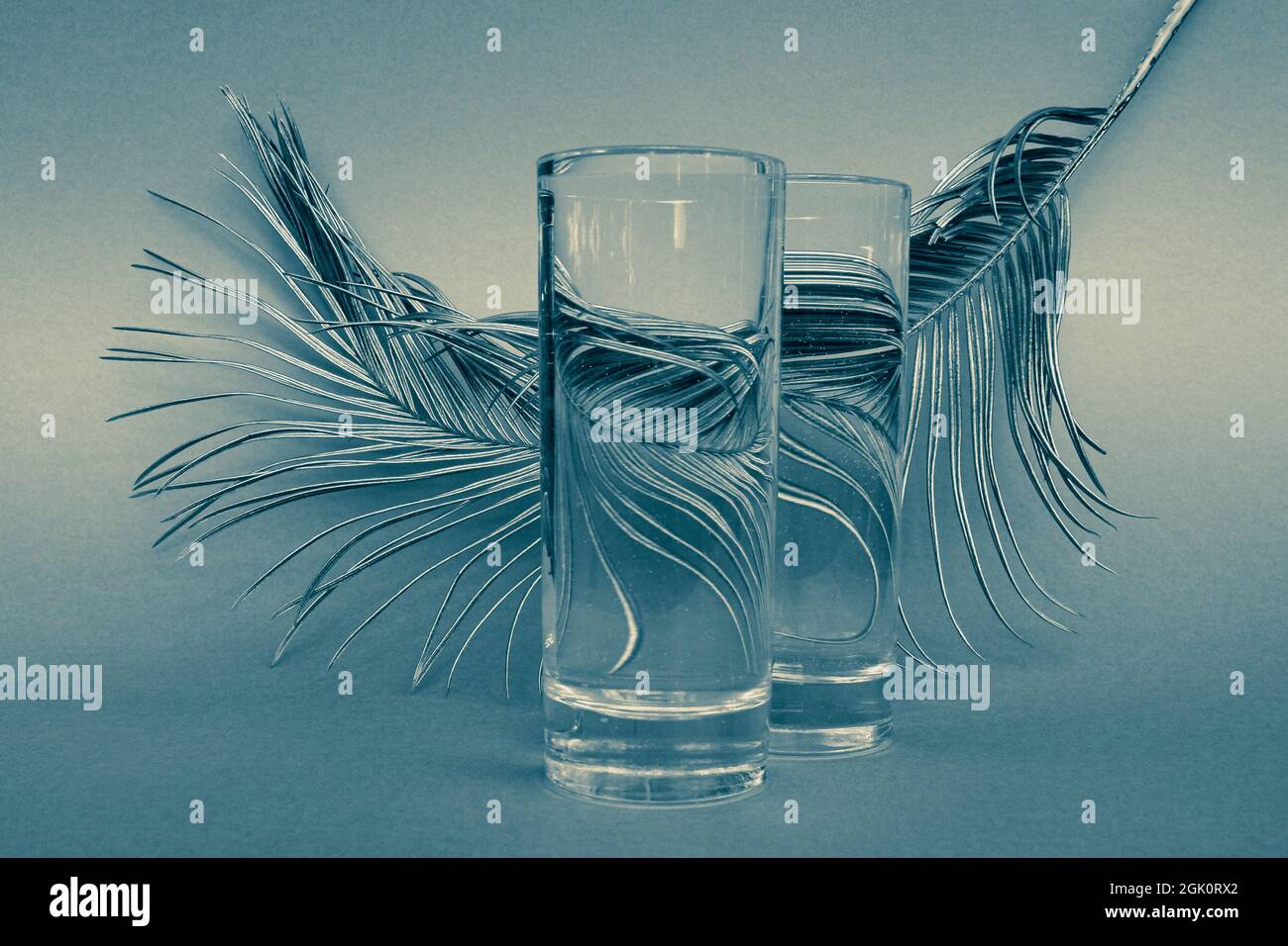 Palmblatt hinter transparentem Glas mit Wasser auf blauem Hintergrund. Optische Verzerrung durch Wasser. Konzept für sauberes Wasser. Selektiver Fokus. Schließen Stockfoto
