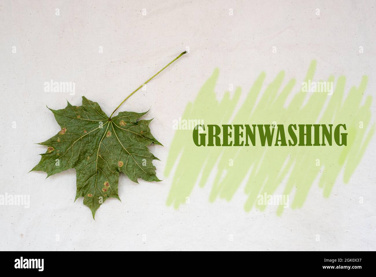 Greenwashing-Konzept. Trockenes Ahornblatt und Text mit grünen Markierungsstrichen. Stockfoto