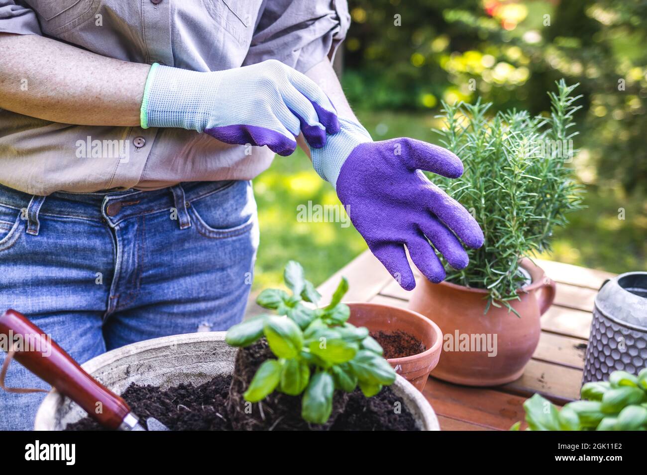 Frau zieht Gartenhandschuhe an. Bereit zum Pflanzen von Kräutern im Garten Stockfoto
